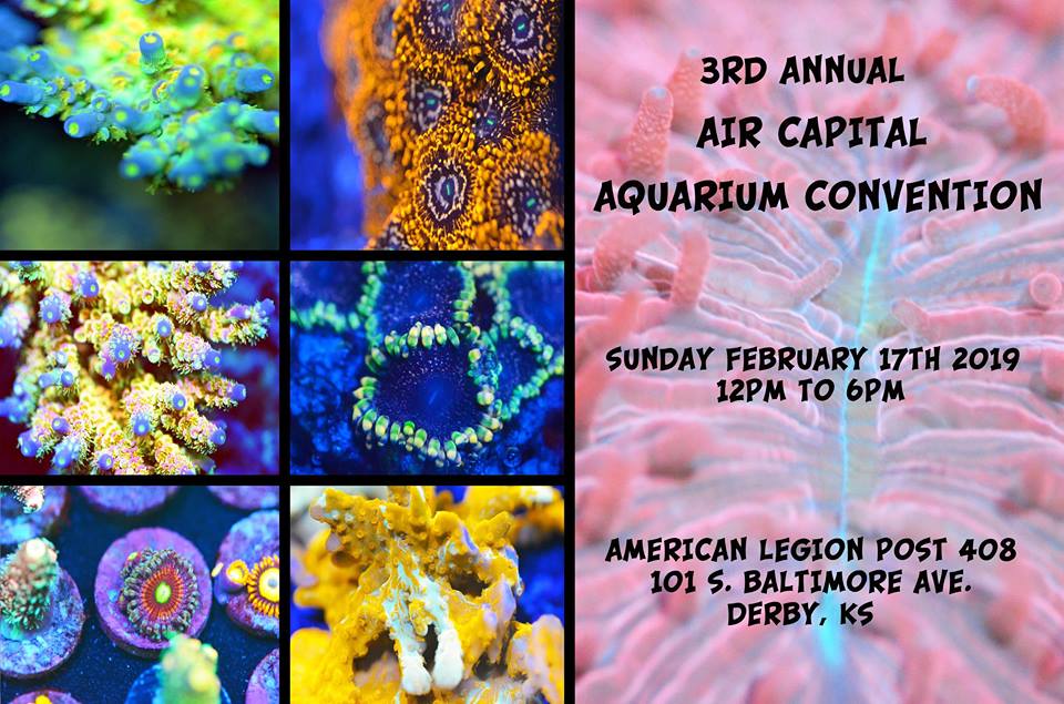 3rd Annual Air Capital Aquarium Convention