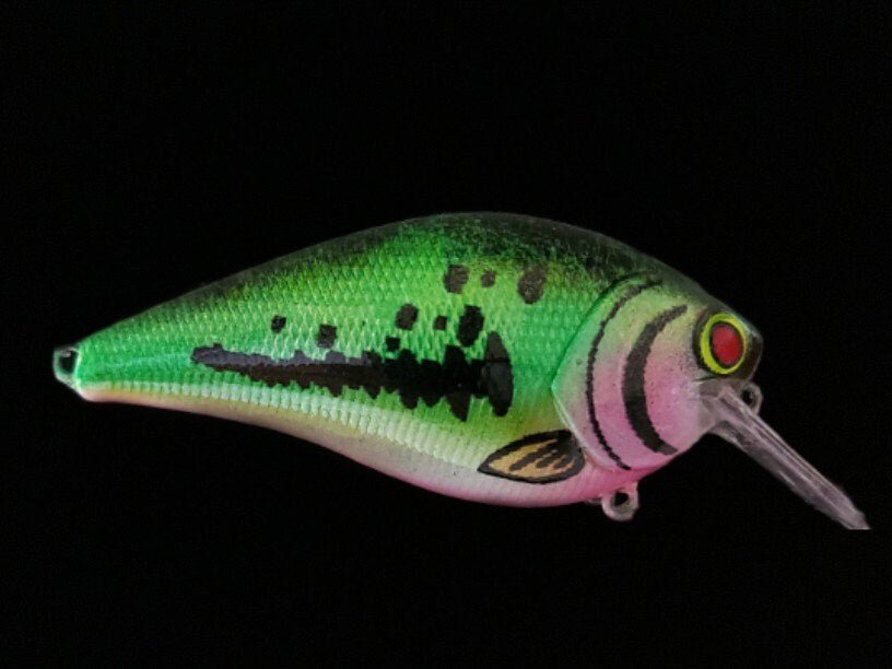 Custom Square bill Crankbait Bass Color With Hardware and Free Shippin