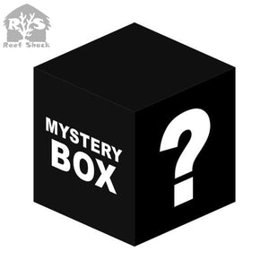 Mystery Softie / Zoa Box - JQ's ReefShack LLC